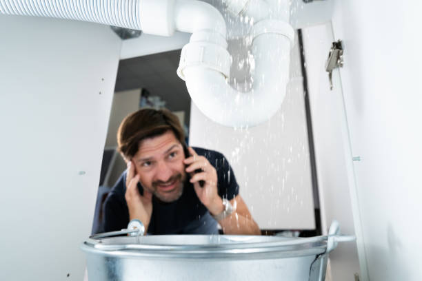 Best Local Plumber Services  in Eden Prairie, MN