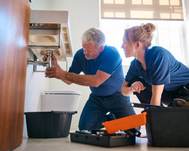 Best Plumbing Inspection Services  in Eden Prairie, MN
